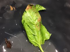 -呷哺呷哺(砂之船奥莱店)