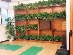 -兰瑜伽·普拉提