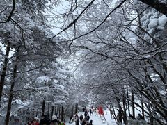 -峨眉山风景名胜区