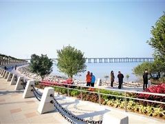 -宝安西湾红树林湿地公园