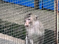 -柳州市动物园