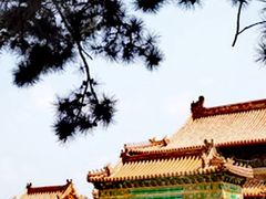-清西陵