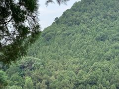-四门塔风景区