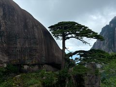 -黄山风景区