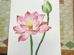 -八哥美术·成人美术画室(总校区)