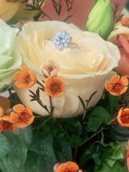 -钻石小鸟钻戒婚戒定制(石路店)