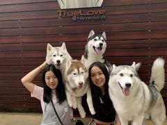 -TrueLove @ Neverland (Husky Cafe)