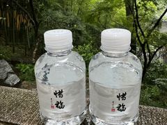-灵隐飞来峰景区