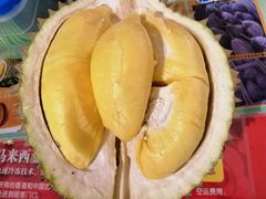 -都念榴莲·城市榴莲