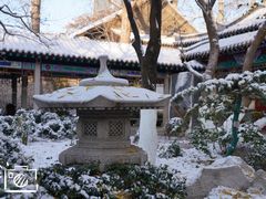 -趵突泉景区