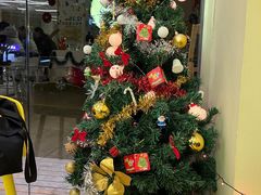 -勇气斑马·巴西柔术&跆拳道(浦东三林店)