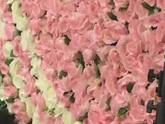 -辛亥革命博物院北区