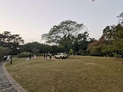 -南沙蒲洲花园