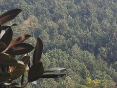 -云龙山
