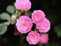-南京国际青年文化中心