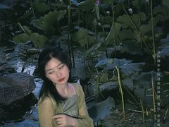 -莲湖公园
