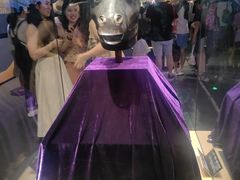 -广西壮族自治区博物馆