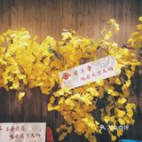 他们家有自己独特的味道