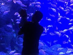 -成都浩海立方海洋公园