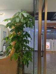 -希梵尔头皮抗衰·科技养发