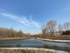 -东郊湿地公园