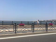 -琴岛之星摩天轮