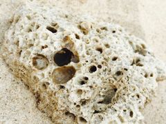 -西涌国际滨海旅游区