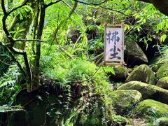 -赤水丹霞旅游区·佛光岩