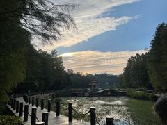 -深圳仙湖植物园