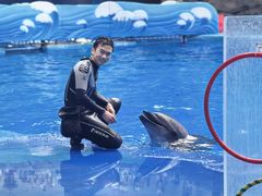 -海合安成都极地海洋公园