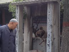 -大学习巷清真寺
