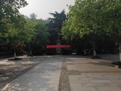 -伯先公园