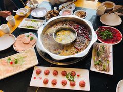 -一斗火锅·招财羊毛肚(北温泉九号店)