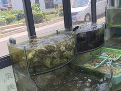 -临风海鲜餐厅