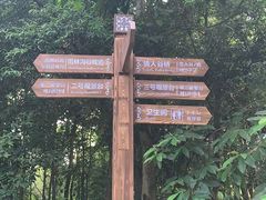 -南宁良凤江国家森林公园