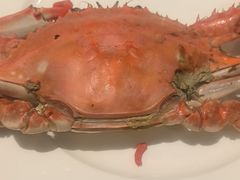 -东方红海鲜百汇(国际大厦店)