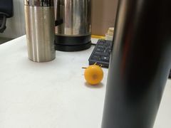 -佳禾国际美术书法教育(仁恒置地广场校区)