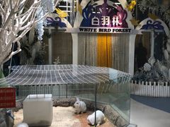 -海合安青岛极地海洋公园