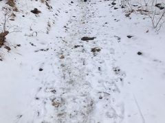 -北京灵山风景区