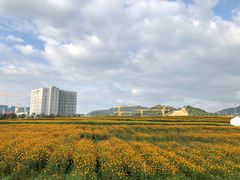 -光明小镇欢乐田园