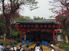 -青青世界