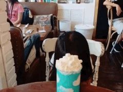 -娜娜家•Nana’Garden (福州道店)