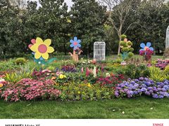 -上海共青森林公园