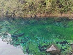 -叠溪松坪沟景区