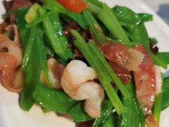 -云中小雅