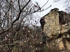 -秦岭终南山世界地质公园翠华山景区