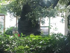 -华源足浴棋牌SPA