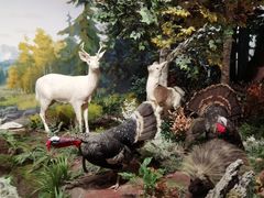 -陕西自然博物馆