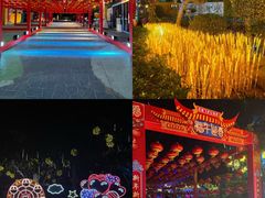 -巨鹏飞梦幻海岸