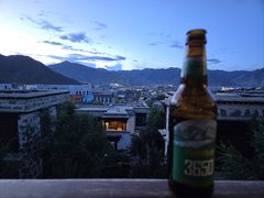 -松赞拉萨林卡酒店